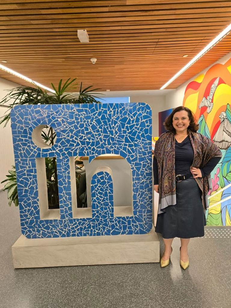 linkedIn-brasil